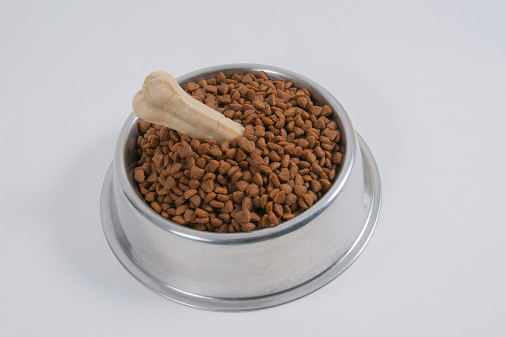 5 Popular Dog Food Brands